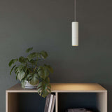 Hangende witte cilindrische lamp boven een houten kast met groene plant in een donker interieur van sackit