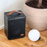 sackit Boom 150 bluetoothspeaker met handvat op een houten vloer naast een ronde witte lamp met touw en een grote plantenpot