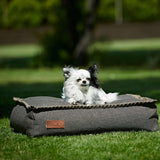 Kleine hond ligt op een grijs sackit hondenbed in het gras. Het stevige bed voor buiten combineert comfort met een rustige Scandinavische uitstraling