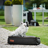 Kleine hond op een donkergrijs sackit hondenbed van slijtvast textiel in een groene buitenomgeving met terras en tuinmeubilair