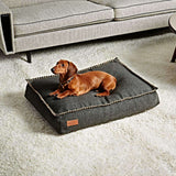 Bruine hond ligt ontspannen op een donkergrijs hondenbed van sackit in een modern interieur met lichte bank en vloerkleed