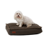 Witte hond op een bruin sackit hondenbed met stevige stiksels en zachte bekleding voor comfortabel gebruik binnenshuis en buitenhuis