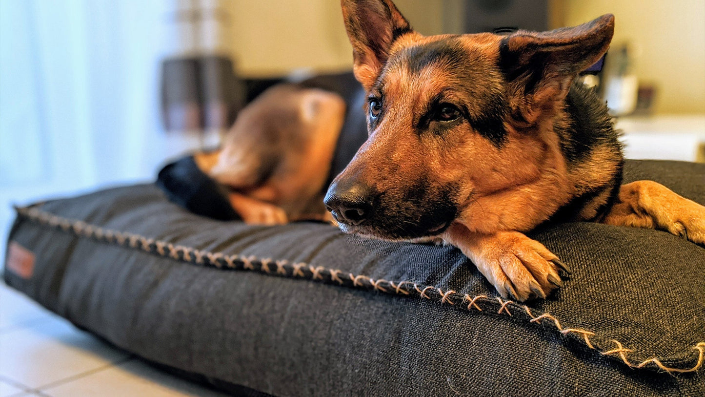 Dog bed - Exclusief hondenkussen in sterke materialen
