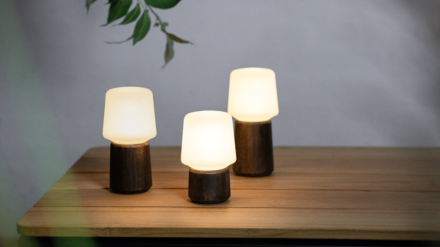 Ambience - Lamp Intelligent - Indoor/Outdoor Bluetooth Lamp op Batterijen