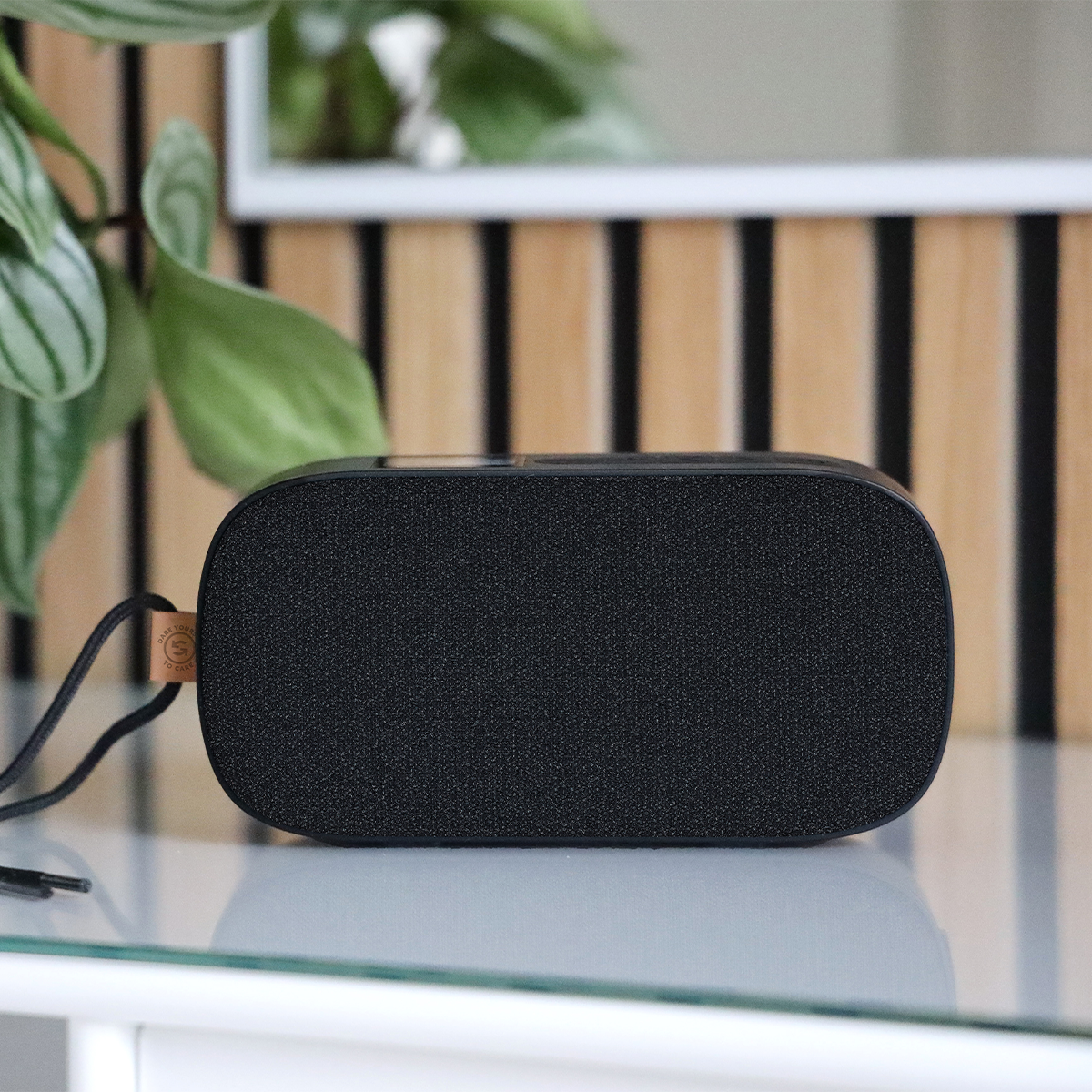 Go 300 Care - Oplaadbare Bluetooth-luidspreker met FM/DAB+ radio