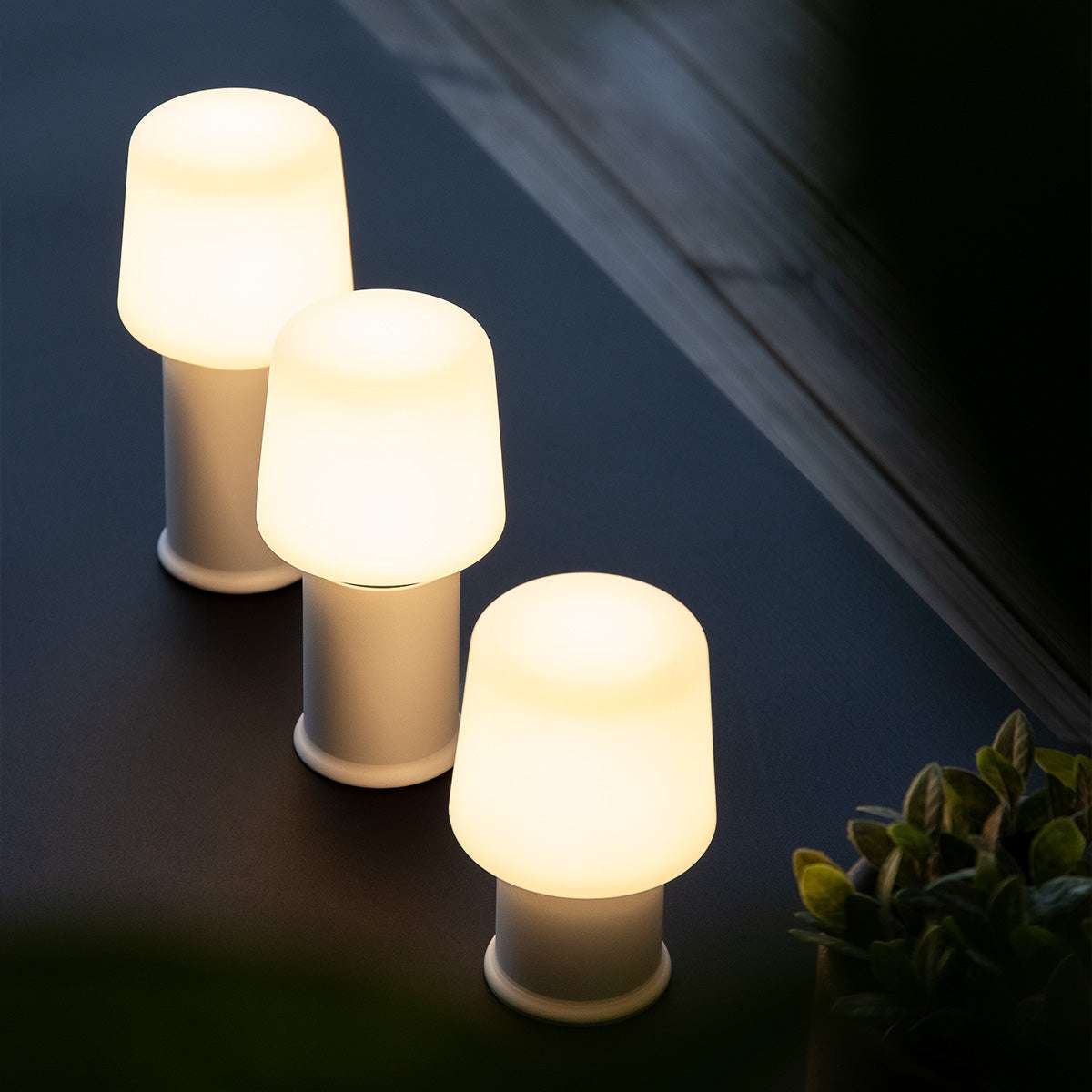 Drie verlichte Ambience tafellampen met metalen voet en warme witte kap op een donker tafelblad naast een groene plant