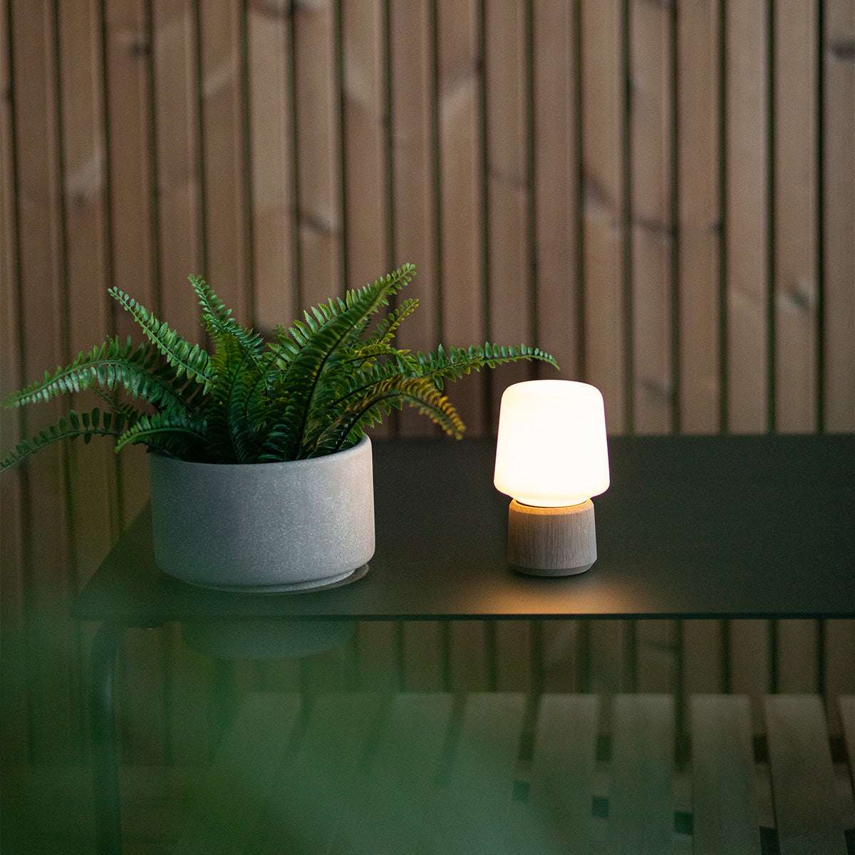 Houten lampvoet van sackit met zacht wit licht naast een groene varen op een donkere tafel in een sfeervol Scandinavisch interieur