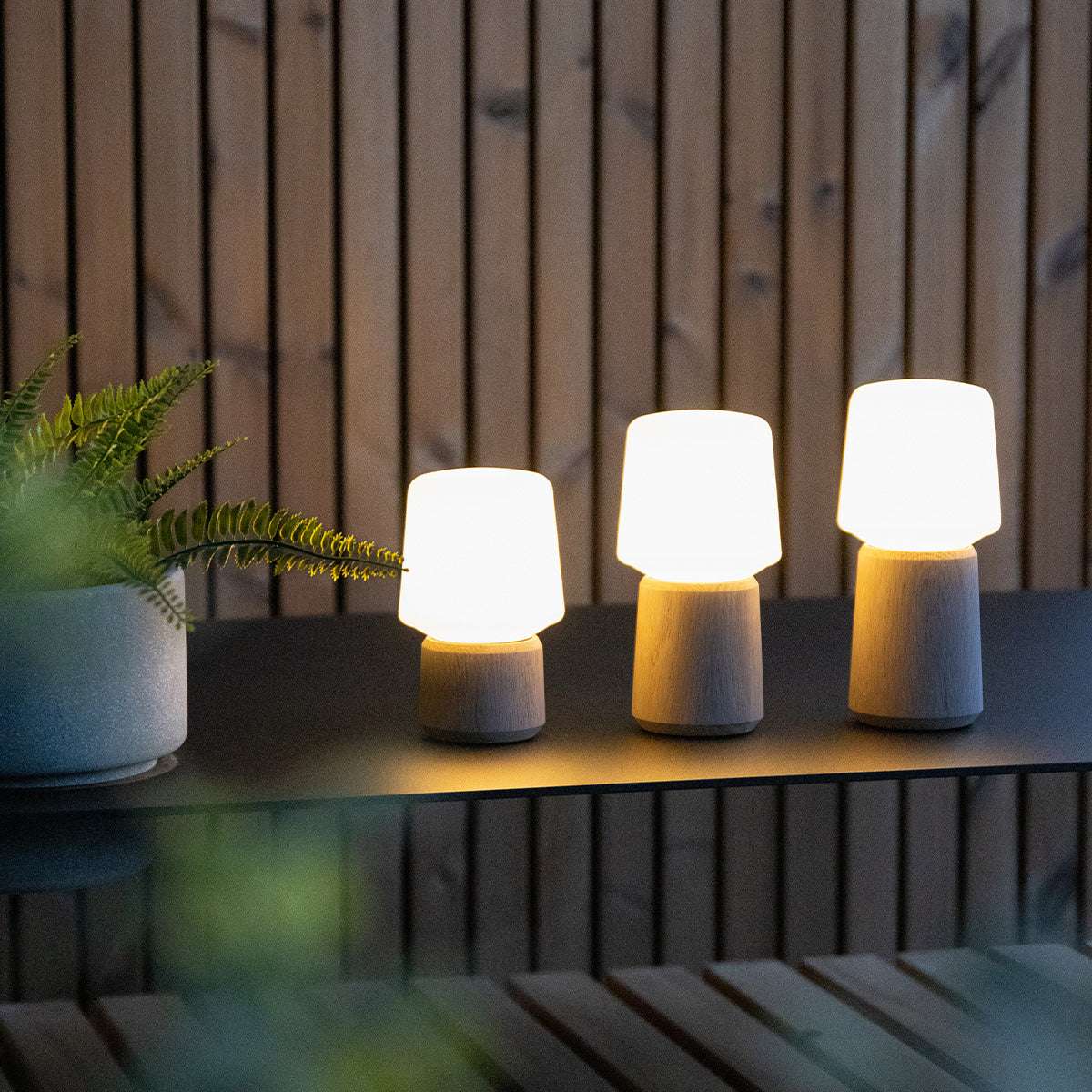 Drie verlichte Ambience lampvoeten van sackit met houten basis en witte kappen op een wandplank in een warm interieur
