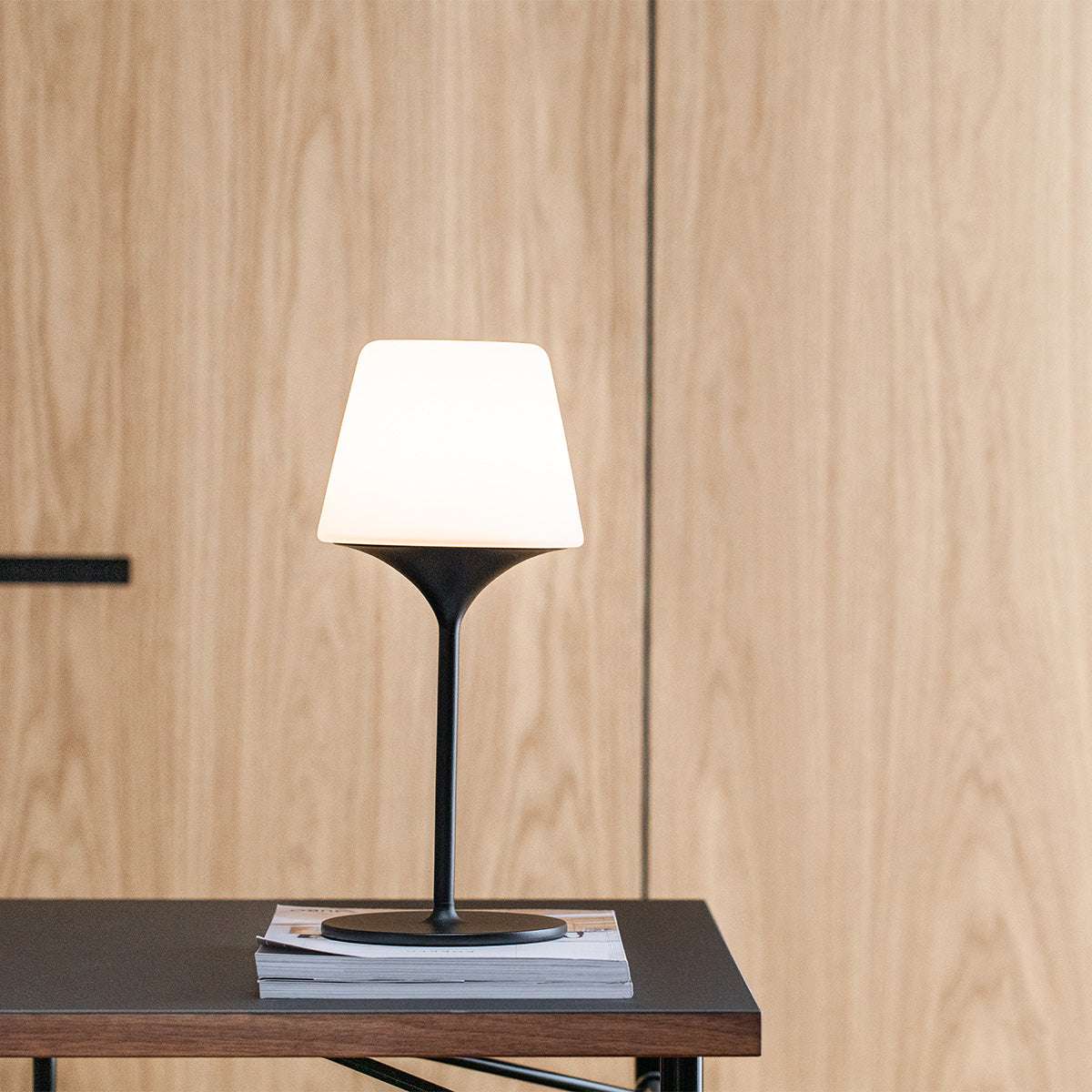 Ambience - Lamp Intelligent & Aalborg base