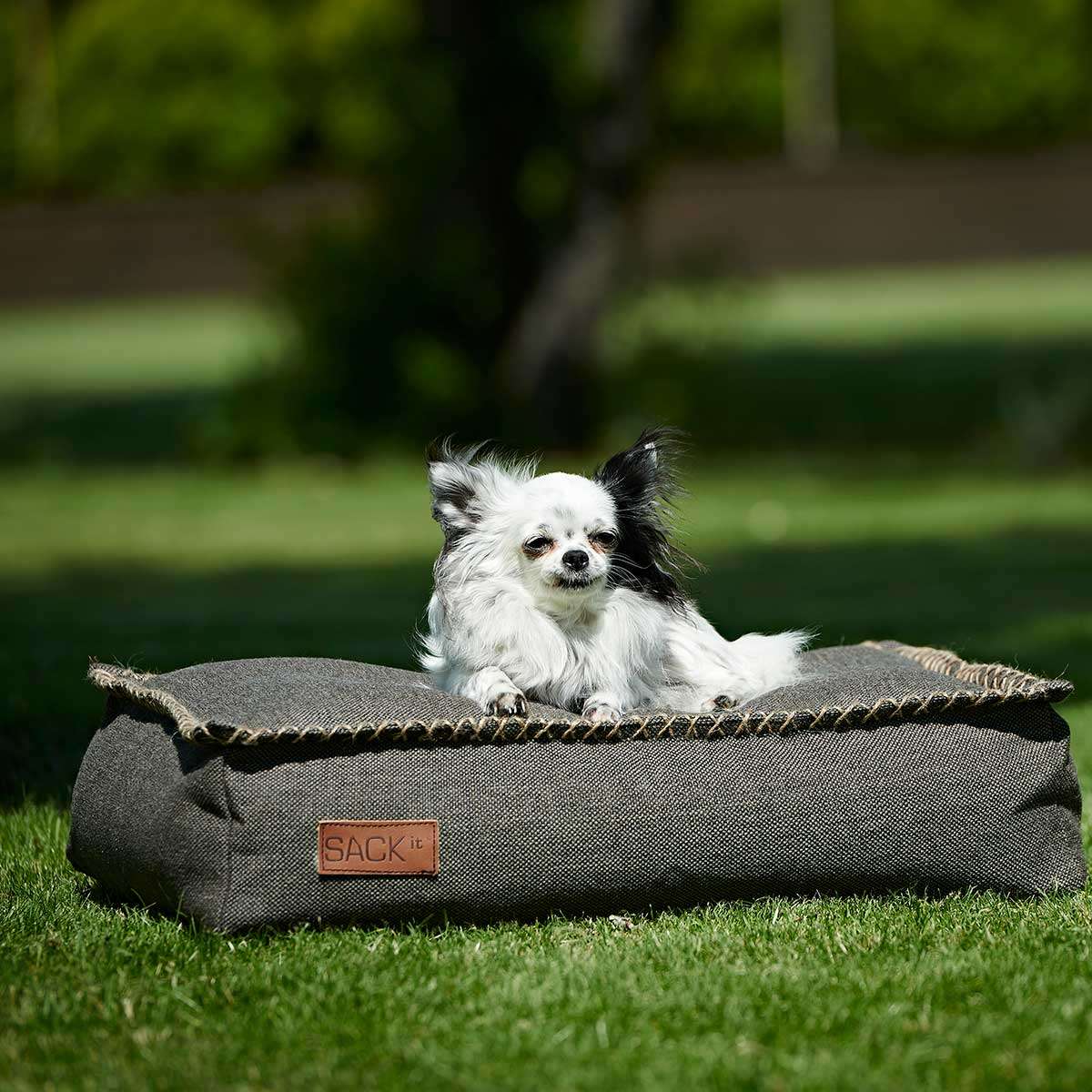 Dog bed