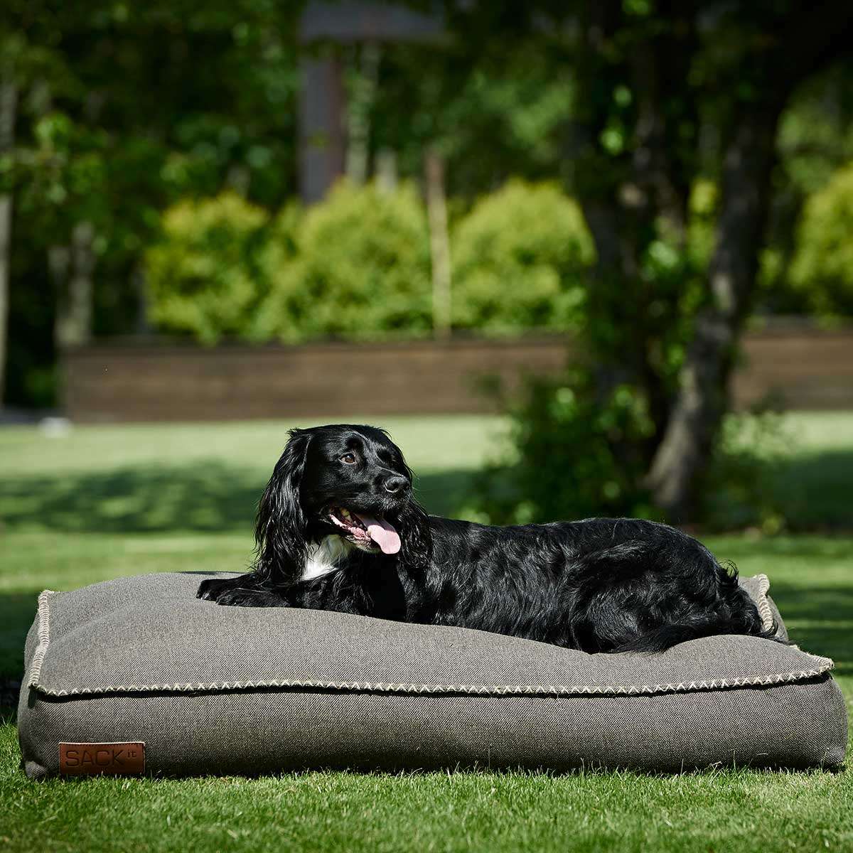 Dog bed