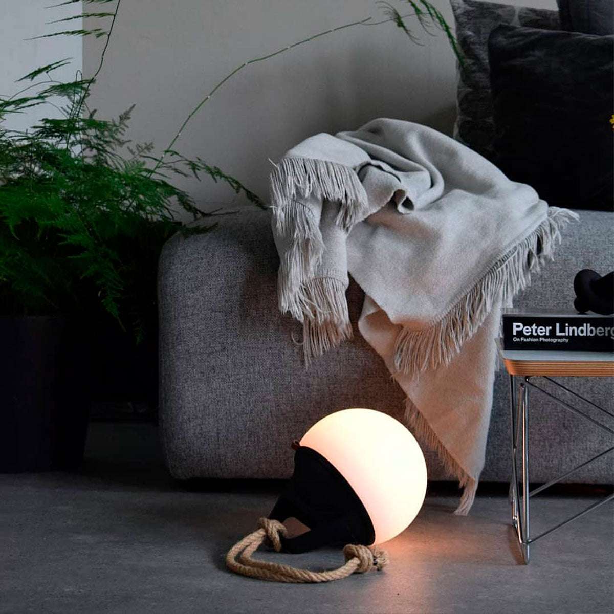 Light 150