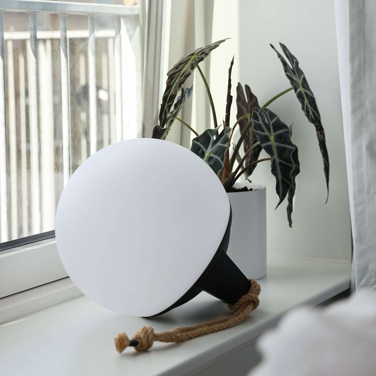 Light 250 (2 pack)