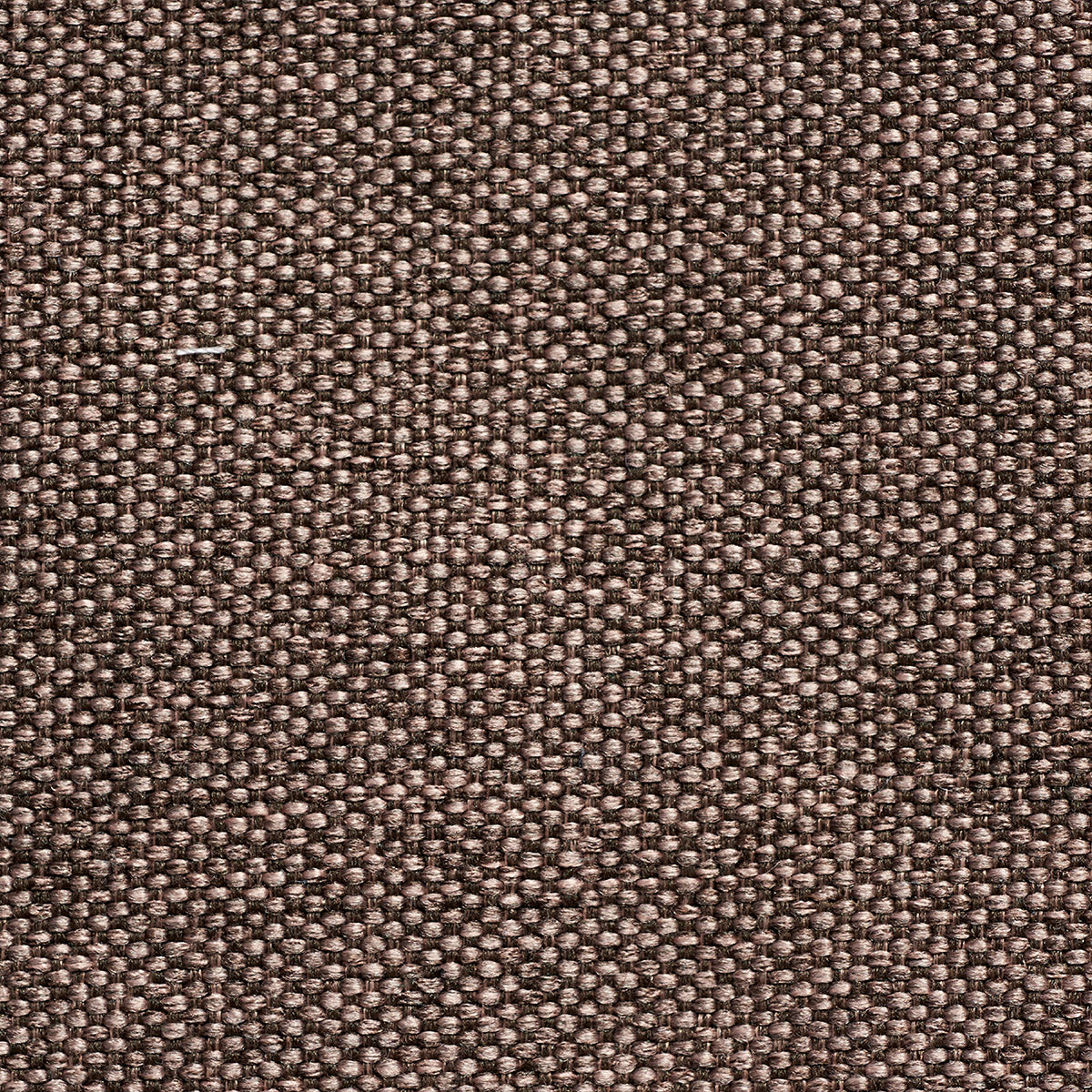 Canvas Fabric Sample