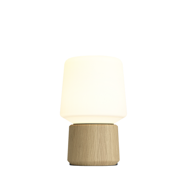 Ambience - Lamp Intelligent & Oslo base