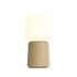Ambience - Lamp Intelligent & Oslo base