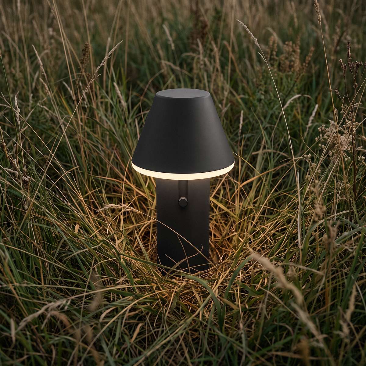 Cone